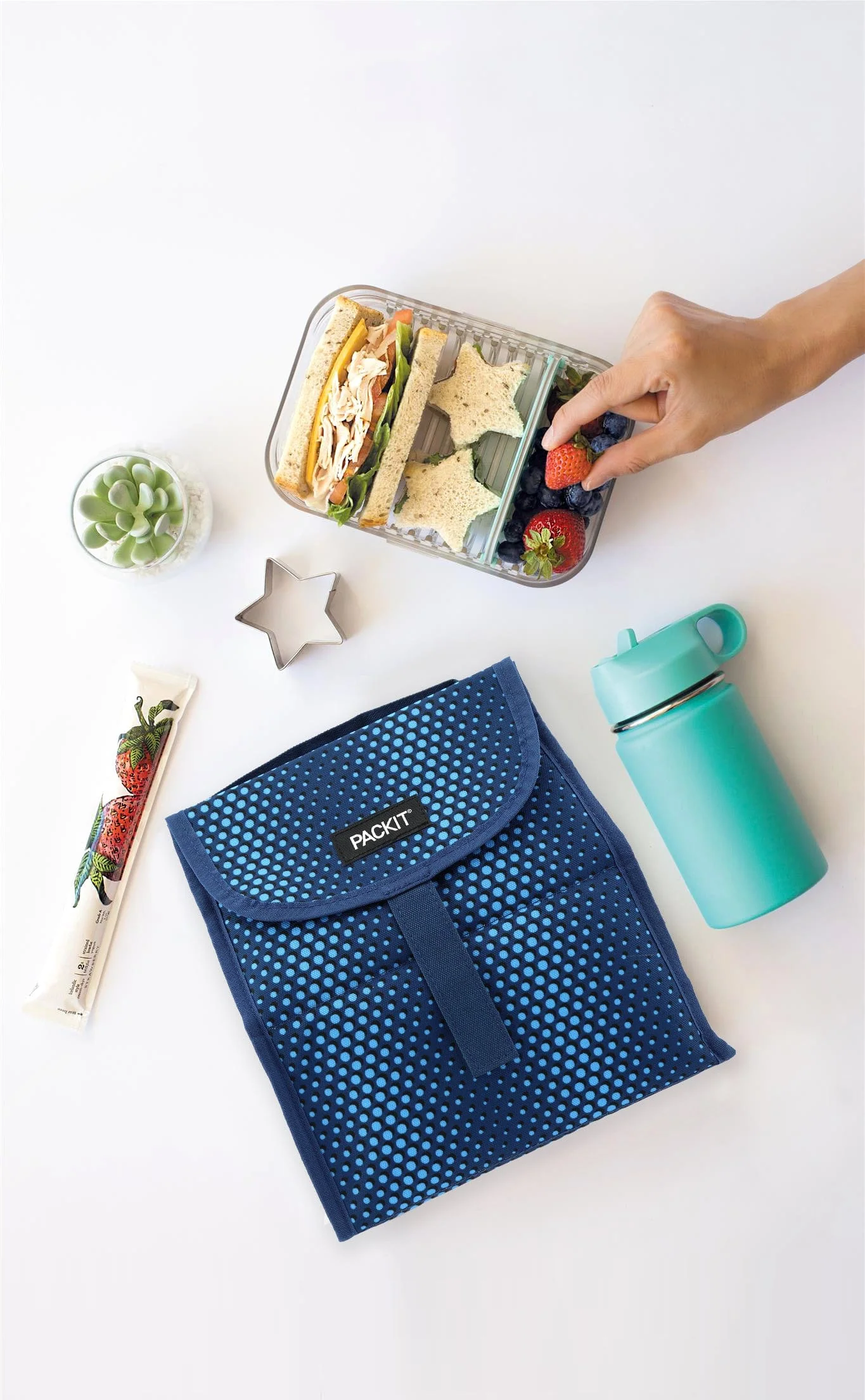 Freezable Lunch Sack - Limited Edition - Image 26